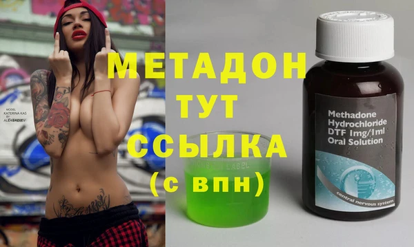 индика Краснослободск