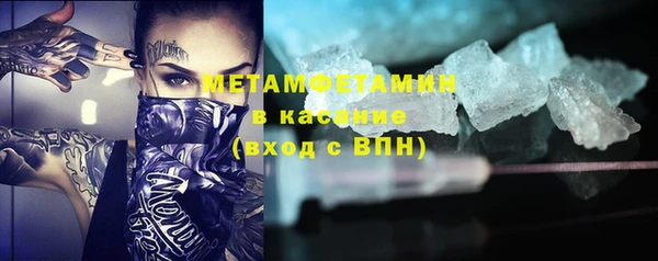 индика Краснослободск