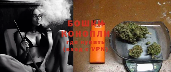 индика Красноперекопск