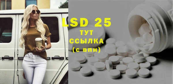индика Краснослободск