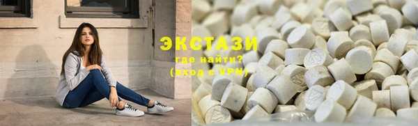индика Краснослободск