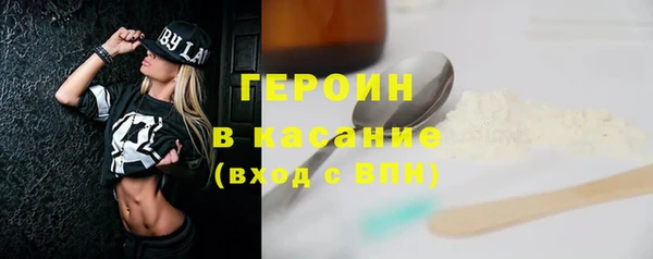 индика Краснослободск