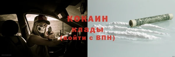 индика Краснослободск