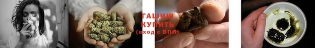индика Красноперекопск