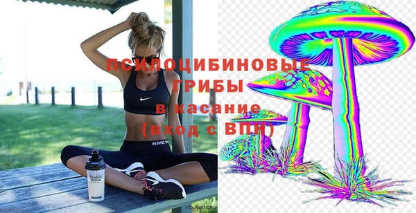 индика Краснослободск