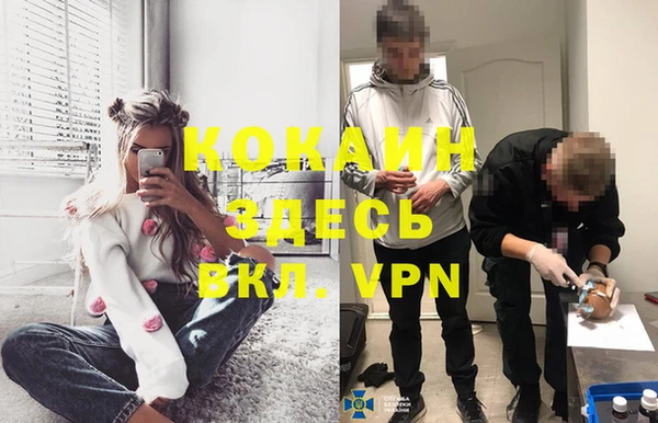 индика Красноперекопск