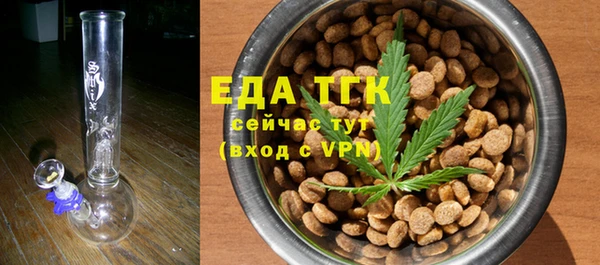 индика Краснослободск