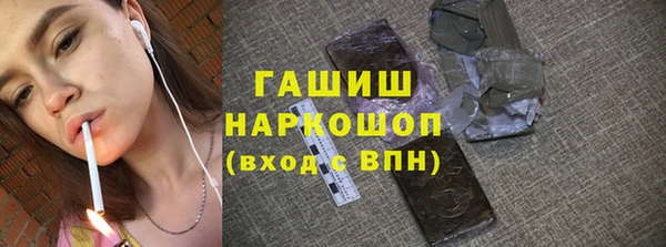 индика Краснослободск