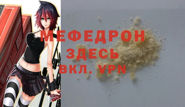 индика Краснослободск
