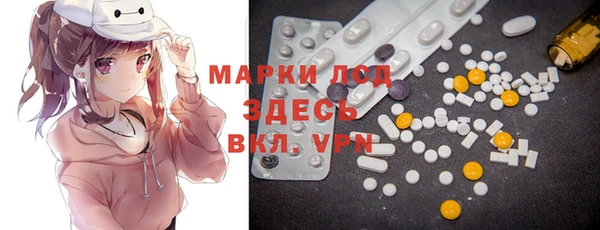 индика Краснослободск