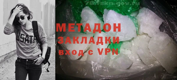 индика Краснослободск