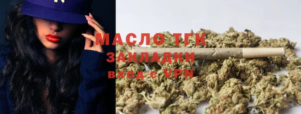 индика Краснослободск