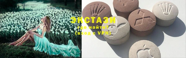 индика Краснослободск